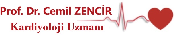 www.cemilzencir.com